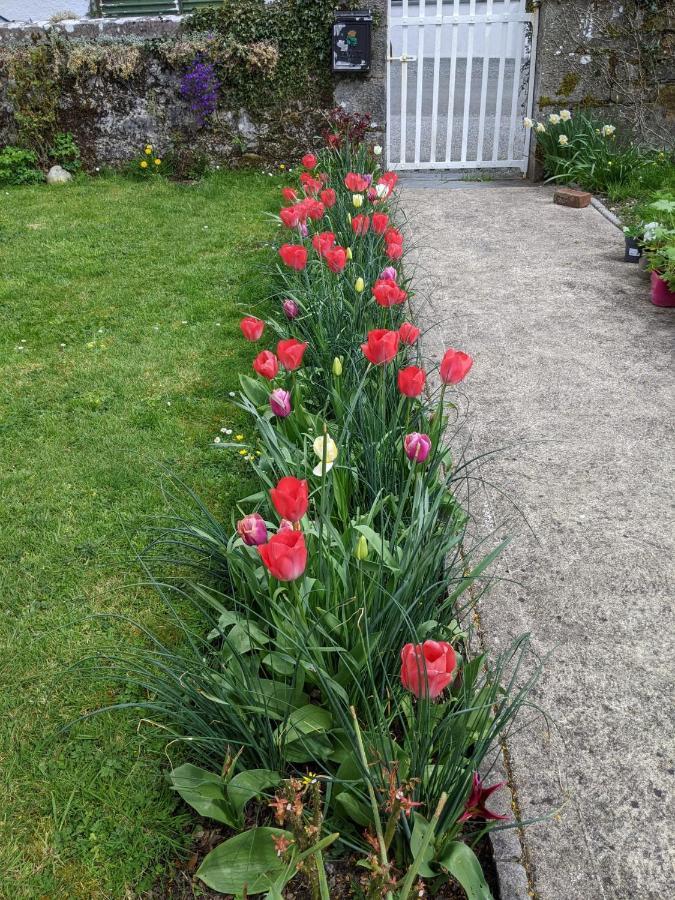 Desart School Garden Chalet Kilkenny Exterior foto